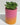 NEW Pink / Orange Happy Halloween Pumpkin Ceramic Planter Plot W/ Succulents 