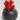 New Scary Black Cat Succulent Planter Small Plant Pot Home Garden Decor