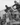 Vtg B&W 1920's - 1930's BETA PHI Frat Photo (Cold Water W/ Audience) Hazing #412
