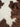 New Brown & White Medium Cowhide Rug Area Rug Cow Print Rug Room Decor 48"x72"