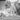 Vintage 1956 Farm Chicken Coops Farm California Photo #1607