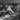 Vintage B&W 1920's - 1930's BETA PHI Frat Photo (College Pot Luck) Dinner