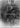 Vtg 1940s 1950s Boy / Kid Riding His Pony / Horse On Farm Cowboy Photo #2674