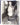 Vtg 1987 John Forsythe Star Of "Dynasty" Hollywood Celebrity Tennis Match Photo