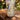 Vintage Antique Victorian Tall Frosted Glass Tumbler W/ Angel & Gold Accents