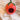 New Red Hanging Outdoor Ceramic Strawberry Shaped Birdhouse Feeder Decor