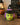 New Halloween Witch Head Green Face Purple Hair Cookie Jar Kitchen