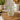 New Green & Yellow Avacado W/ Pit Barware Beverage Glass Cup Tumbler