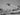 Vtg 1950's Black & White Disneyland (Disneylandia) Dumbo Ride Photo #898