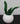 New Retro Contemporary Felt Fake Succulent Cactus Home Office Plant  - Green