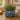 New Vintage Blue Camera Ceramic Indoor Outdoor Planter Catus Succulent Pot