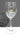 New Fig and Fern Sun & Moon Mystic Spiritual Solar Magic Rhinestone Wine Glass