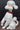 VTG White & Gold Retro Porcelain Large Happy POODLE Dog Sitting Figurine 