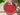 New Set 4 Thick Round Summer WATERMELON Slice Placemats W/ Cork Backing
