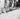 Vtg B&W 1920's - 1930's BETA PHI Frat Photo (Hazing Circle) Funny Socks Knickers