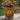 New Large Indoor Adorable Woven Watering Can Planter Flower Pot Room Decor