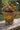 New Large Indoor Adorable Woven Watering Can Planter Flower Pot Room Decor