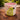 New Ceramic Indoor / Outdoor Green Parrot Tropical Flower Planter Pot