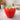 New Large Red Juicy Retro Stawberry Cookie Jar Kitchen Canister Storage