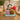 New Linzy Toys Plant Pals Buddies Potted Plush Stuffed Toy Mushroom Flower Decor