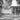 Vintage 1956 Farm Chicken Coops California Photo #1606