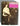 Fille de Joie Hardcover Book of Courtesans Sporting Girls Ladies of the Evening