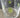 New Glass White & Green Tennis Ball Sports Tumbler Beverage Glass Cup White Rim