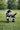 New Large Zebra Dog Chew Toy Tough Leather for Aggressive Chewers
