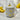 New Luna & Sage Banana Cookie Sugar Jar Hand Painted Canister Tiktok Viral