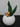 New Retro Contemporary Felt Fake Succulent Cactus Home Office Plant  - Green