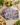 New Large Picnic Party Colorful Friut Crate Labels Print  5 Section Tupperware