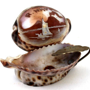 Vintage RARE 3 Level Sea Shell R. Napoli Ashtray