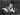 Vtg Black & White Photo Portrait of ELVIS PRESLEY In Concert Live On stage #597