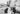 Vtg 1918 Group Of Women On Catalina Island Beach (Hats & Dresses) Photo #1817