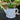 Watering Can Artificial Industrial Concrete Succulent Plant Desktop Floral Decor