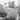 Vtg 1954 Chicago Home Landscaping Outside Garden Plants & Flowers Photo #1460