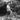 Vtg 1940's Little Boy Riding His Tricycle / Bicycle Bike Photo #1364