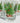 Vintage 1980s Set Of 6 Christmas Holiday Christmas Tree Glasses Tumblers 8oz