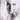 Vintage 1960's Black & White Young Girl MODELING Headshot Photo (3 Of 3)