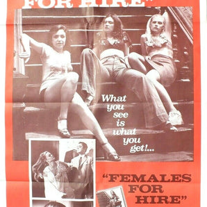 Vtg 1969 FEMALES FOR HIRE (Christine Rucker) Sexploitation One Sheet Poster