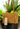 New Beige Geometric Madison West LA Women's Medium Leather Shoulder Bag Purse