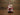 New Christmas Santa Claus W/ Mrs. Claus Holiday Soap Dispenser Decoration