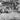 Vtg WWII Everyone Picking Up Japanese Coins For Souvenirs On Island Photo #1786