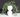 New White Artificial Plant SUCCULENT Hair Gowing Head Face Vase Retro Room Decor