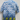 Vtg  INTRINSIC Blue Asian Dragon Mens Collar Button Up Rayon Shirt Large
