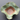 Vintage Signed KOS Brown / Green Stoneware Art Studio Pottery Ceramic Bowl