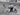 Vtg 1950's Black & White Unknown Bullfighting Matadore  Death, Tijuana Photo