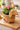 New Shabby Chic Large Indoor Adorable Woven Dog Planter Flower Pot Room Decor
