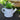 Watering Can Artificial Industrial Concrete Succulent Plant Desktop Floral Decor