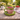 New Pink Fairytale Wild Strawberry Coffee Tea Cup Mug W/ Saucer Tea Party
